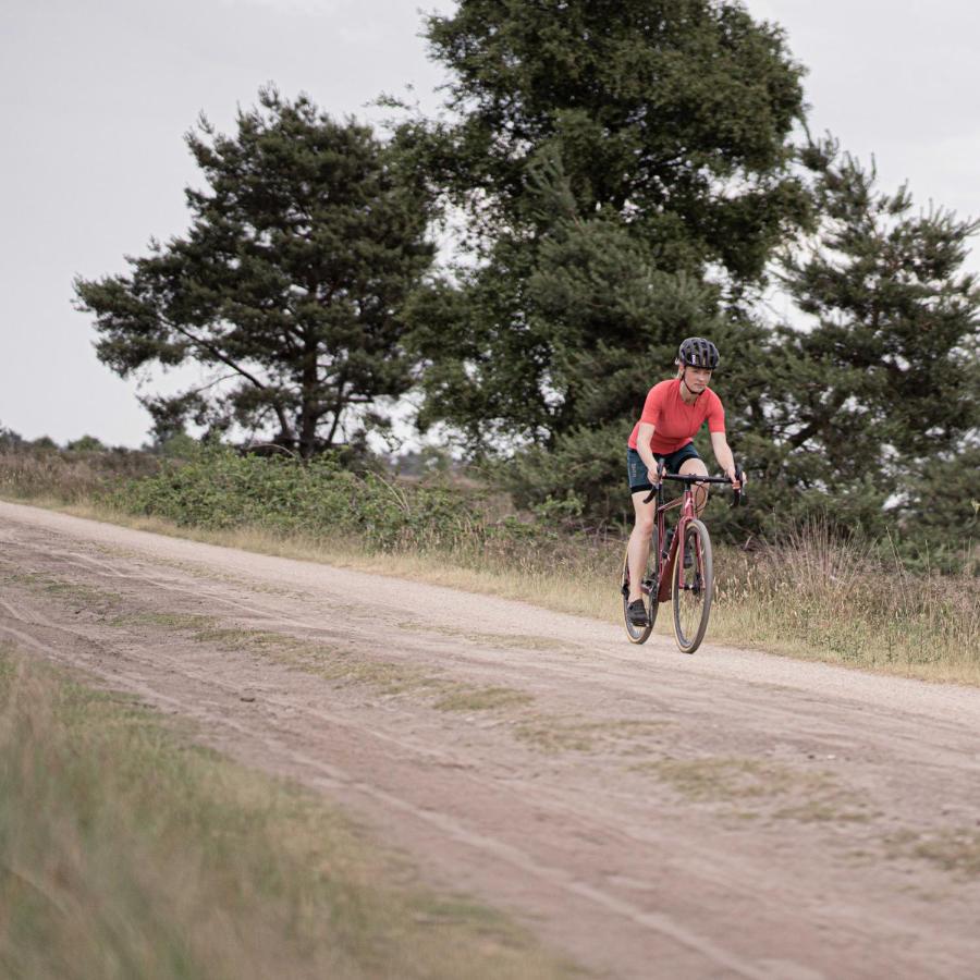 Herberg De Zwaan Elspeet Exteriér fotografie