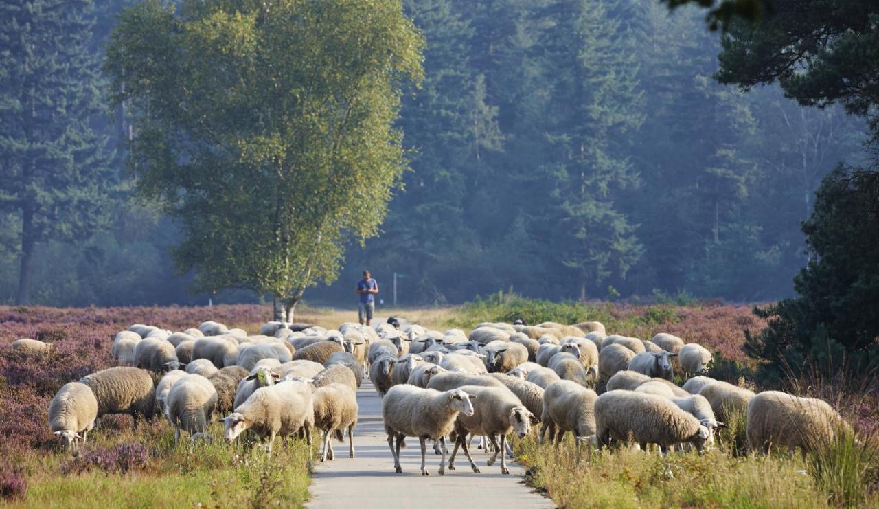 Herberg De Zwaan Elspeet Exteriér fotografie