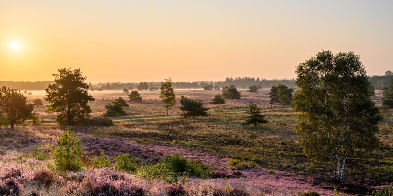 Herberg De Zwaan Elspeet Exteriér fotografie