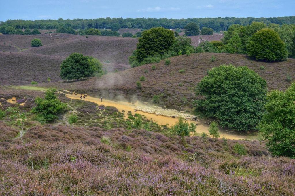 Herberg De Zwaan Elspeet Exteriér fotografie