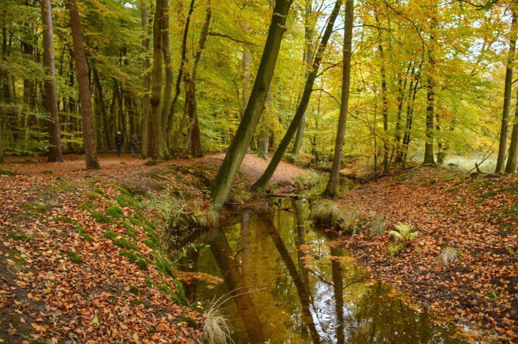 Herberg De Zwaan Elspeet Exteriér fotografie