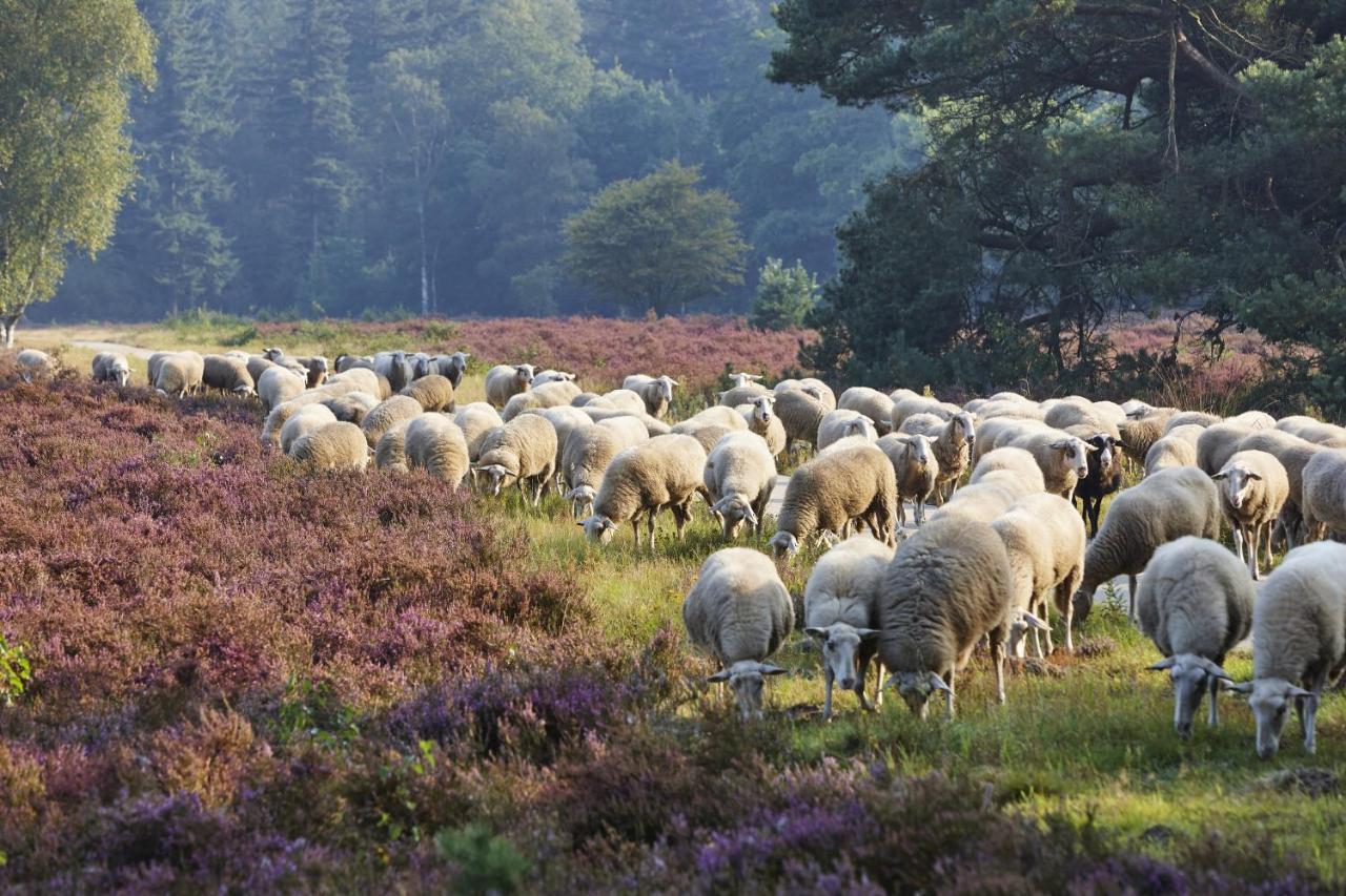 Herberg De Zwaan Elspeet Exteriér fotografie