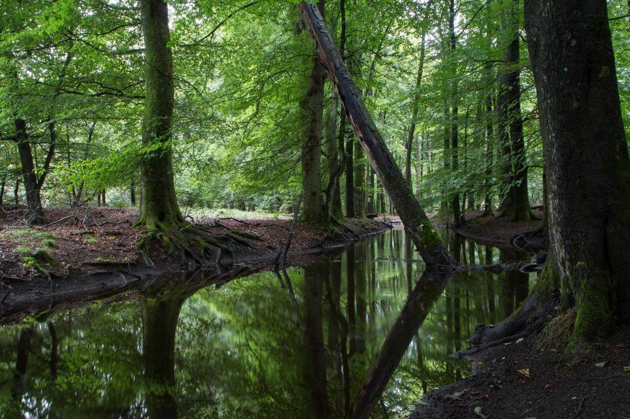 Herberg De Zwaan Elspeet Exteriér fotografie